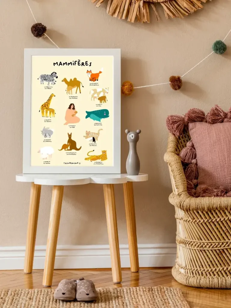 Affiche Mammifère Tajine Banane