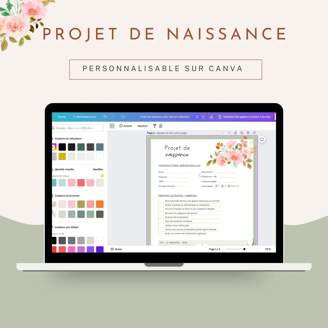 Pdf Projet de naissance personnalisable