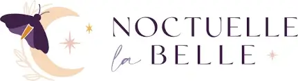 Logo Noctuelle la belle