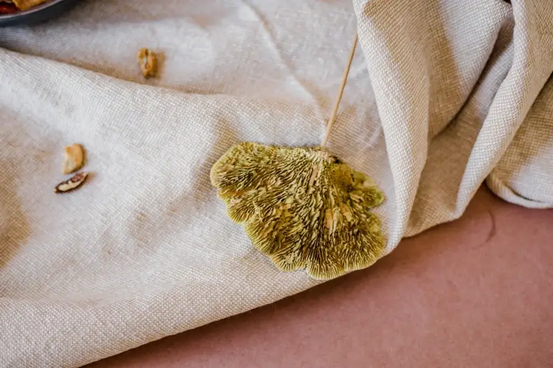 Sélection de marques de vêtements pour les femmes pour faciliter l'allaitement